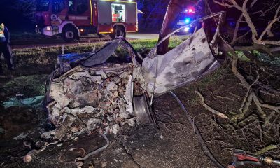 336694429 6304030666286333 7672193619169953531 n