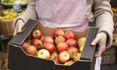 Midshot of shop assistant holding crate with organic apples in organic produce shop.