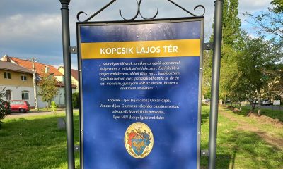 Kopcsiklajosemlektabla