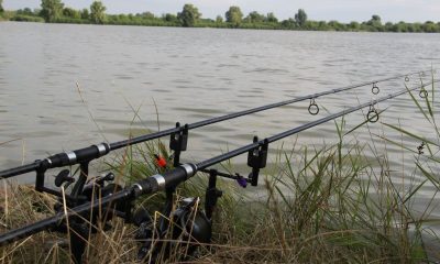 Pctisza21