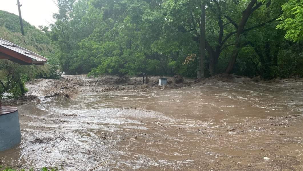 352238179 1468276177038770 1279635878144226101 n e1686257697760