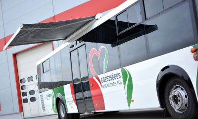 Szűrőbusz