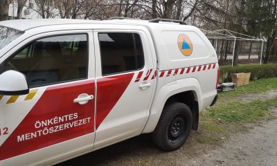 Onkentes mentoszervezet
