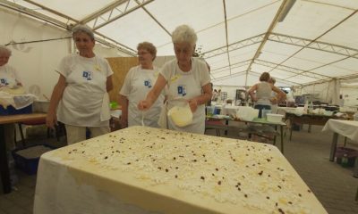 20220806 133435 768x432