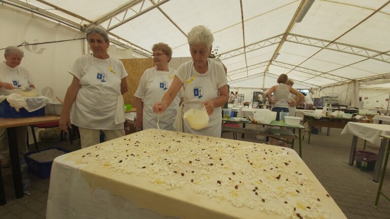 20220806 133435 768x432