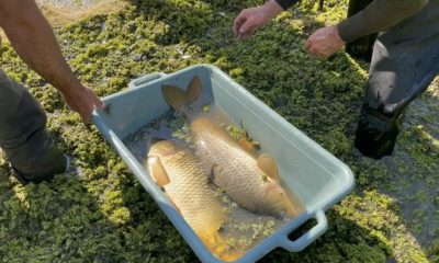 Image 6487327 1 e1692691999871 1024x576