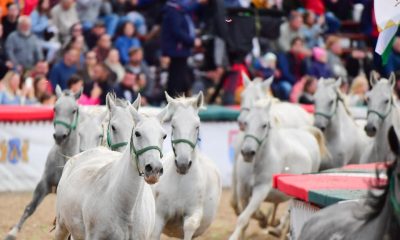 385022092 704854031673876 2494661004001545377 n