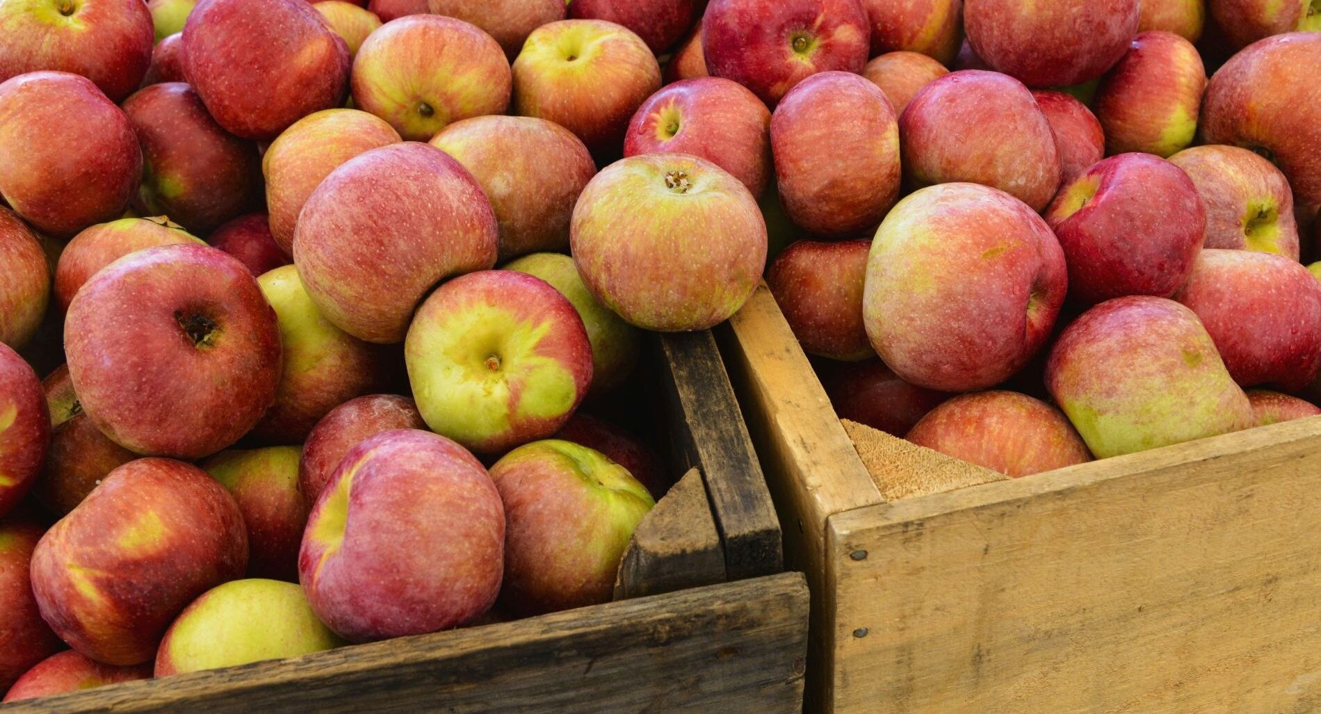Apple crates