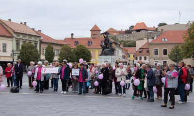 Mellrák elelni rózsaszín séta