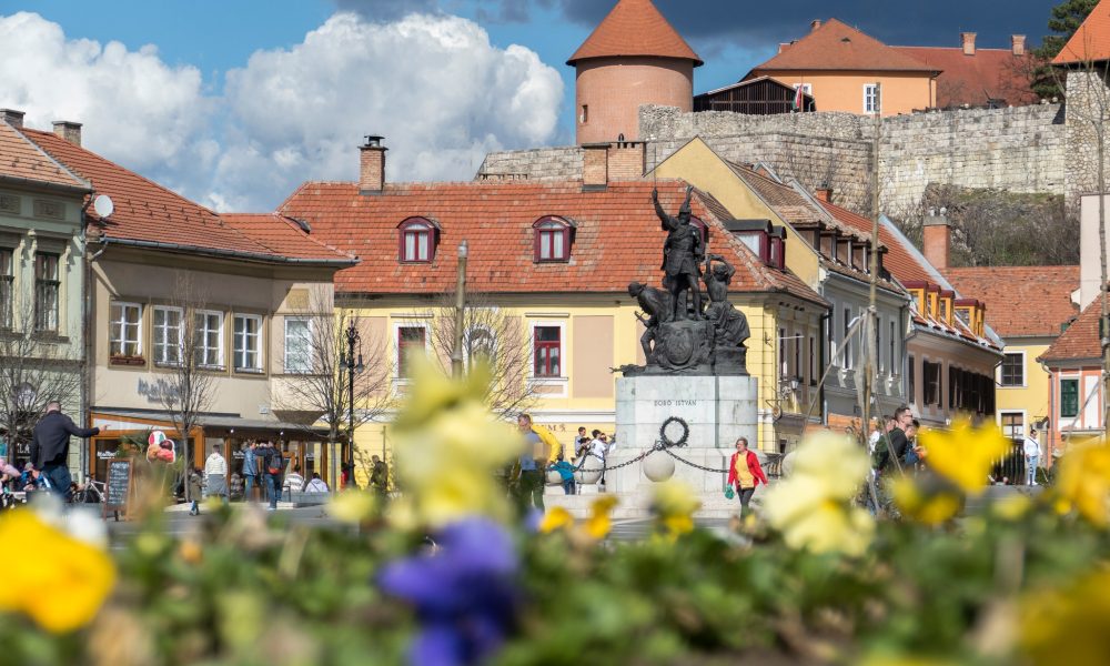 Eger virág nyár