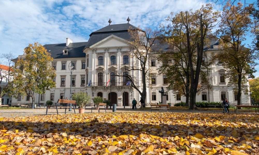 Eger egyetem ősz