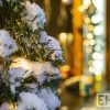 Eger Advent