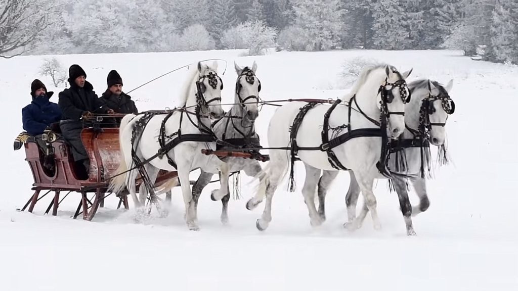 Lipicai e1611573841966 1024x576