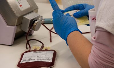 Fotó Vasvári Tamás (2)