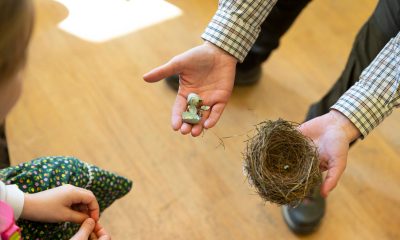 Iskolában az erdő2 Forrás Agrárminisztérium