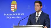 Gulyás Gergely