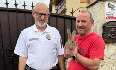 F0619a239aa4535f94f2e043aa27ad4a