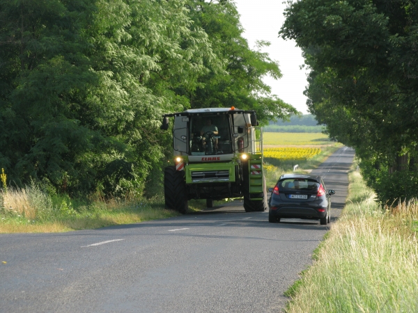 T2