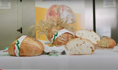 Képernyőfotó 2024 08 10 10.47.42