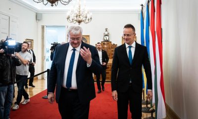 461591542 1060702605523032 6607939049124454924 n