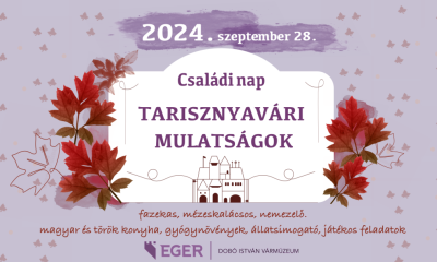 Tarisznyavári mulatságok