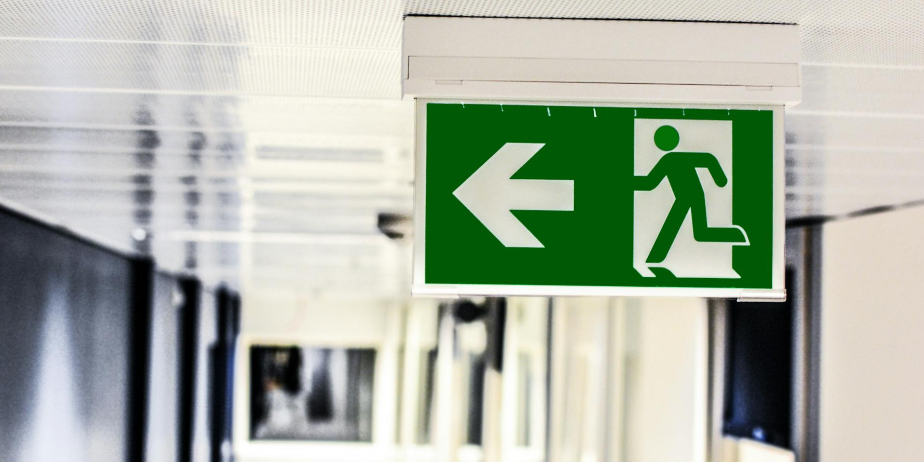 Httpswww.faac.hu 2024 szeptember Cikk1