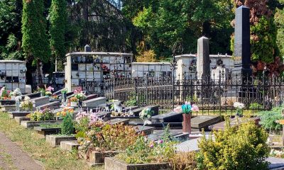 Temetőfenntartás borító