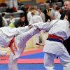 Ippon1