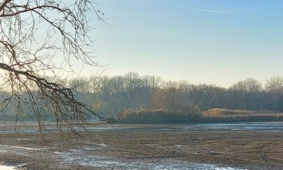 Janika12 20241125144245.jpg 2024 11 25 17 39