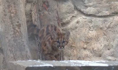 Képernyőfotó 2024 12 15 12.04.50