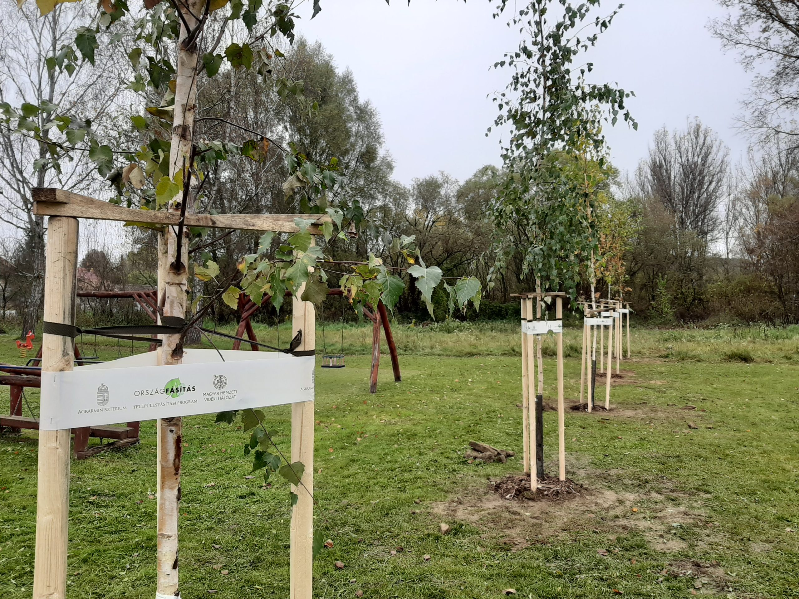 TELEPÜLÉSFÁSÍTÁS