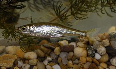 472191482 981905047303942 4595246291533977303 n