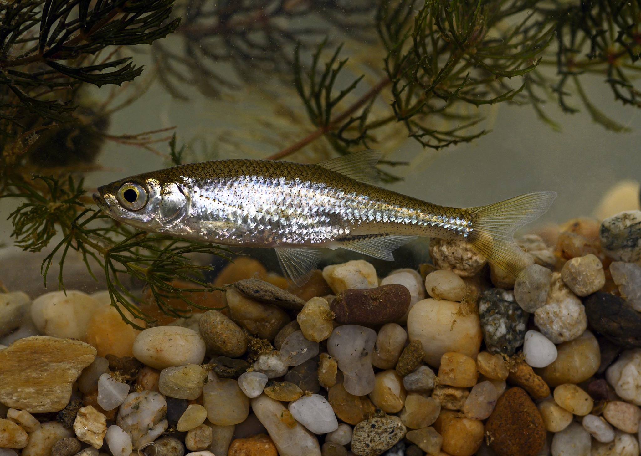 472191482 981905047303942 4595246291533977303 n