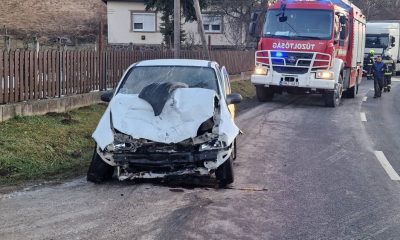 474487734 1133859095414069 8423819764958528244 n