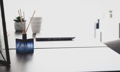 Alphadenthigienia.hu 2025 január LinkMarketing