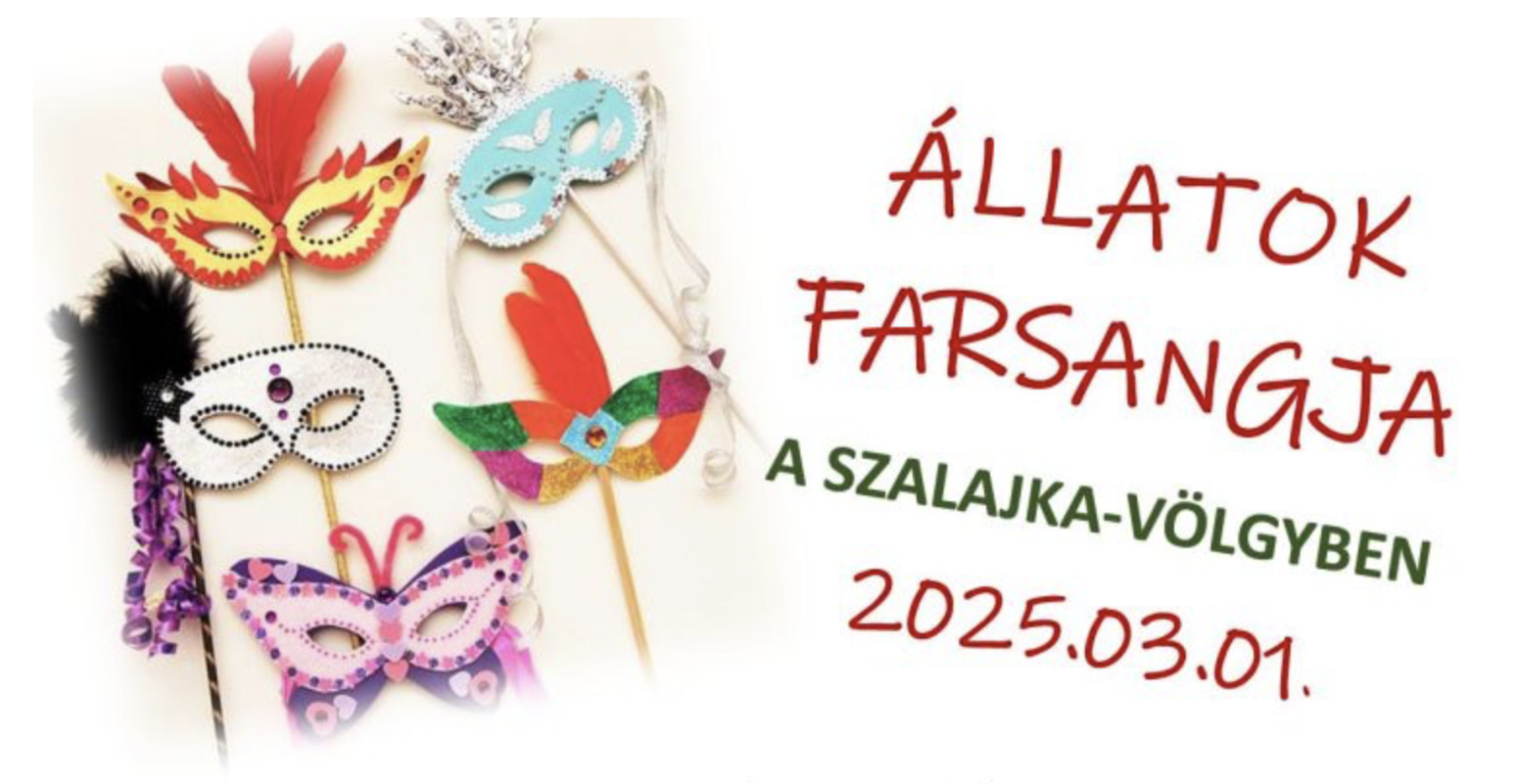 Képernyőfotó 2025 02 12 14.14.44