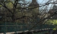 Képernyőfotó 2025 04 06 9.25.14