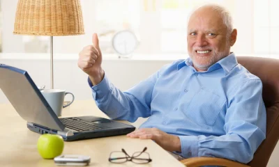 Hide The Pain Harold