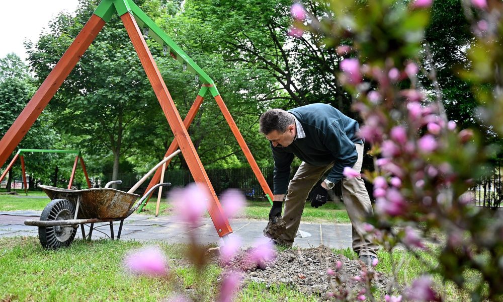 497850628 122132463416791268 8622990752019163722 n