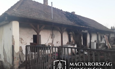 Tető leégett logó