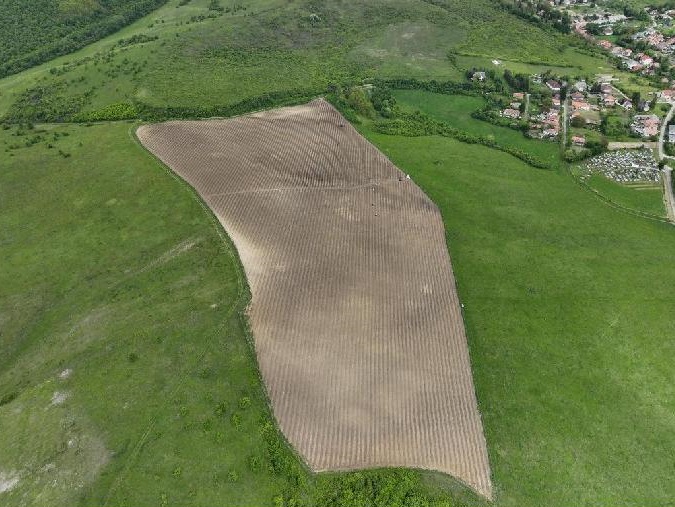 Bátori erdőtelepítés