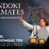 Megakoncert 1980x1080 var