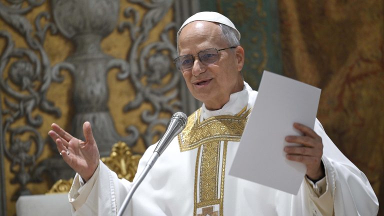 Xiv leo papa 751357