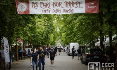 Az Egri Bor Ünnepe