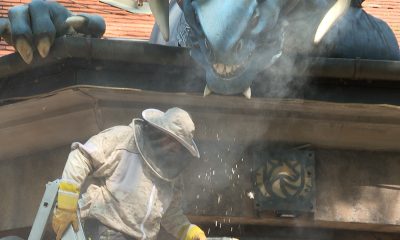 518358837 1285004740299503 3231858587293661665 n