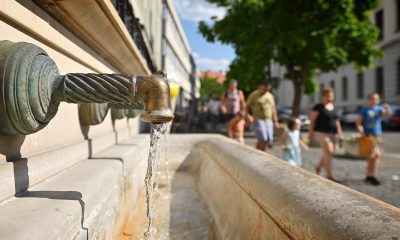 523349749 761008463753286 753853147084563009 n