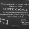 Sz