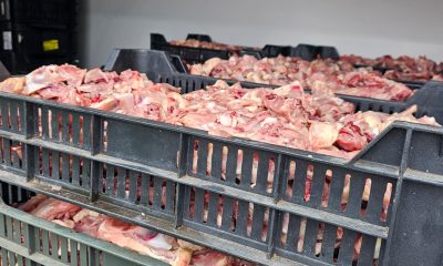 Képernyőfotó 2025 08 04 11.30.24