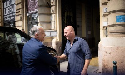 D91d3bc3677b486a8868a3bffc40d17b