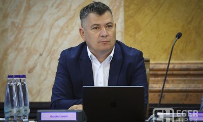 Gulyás László